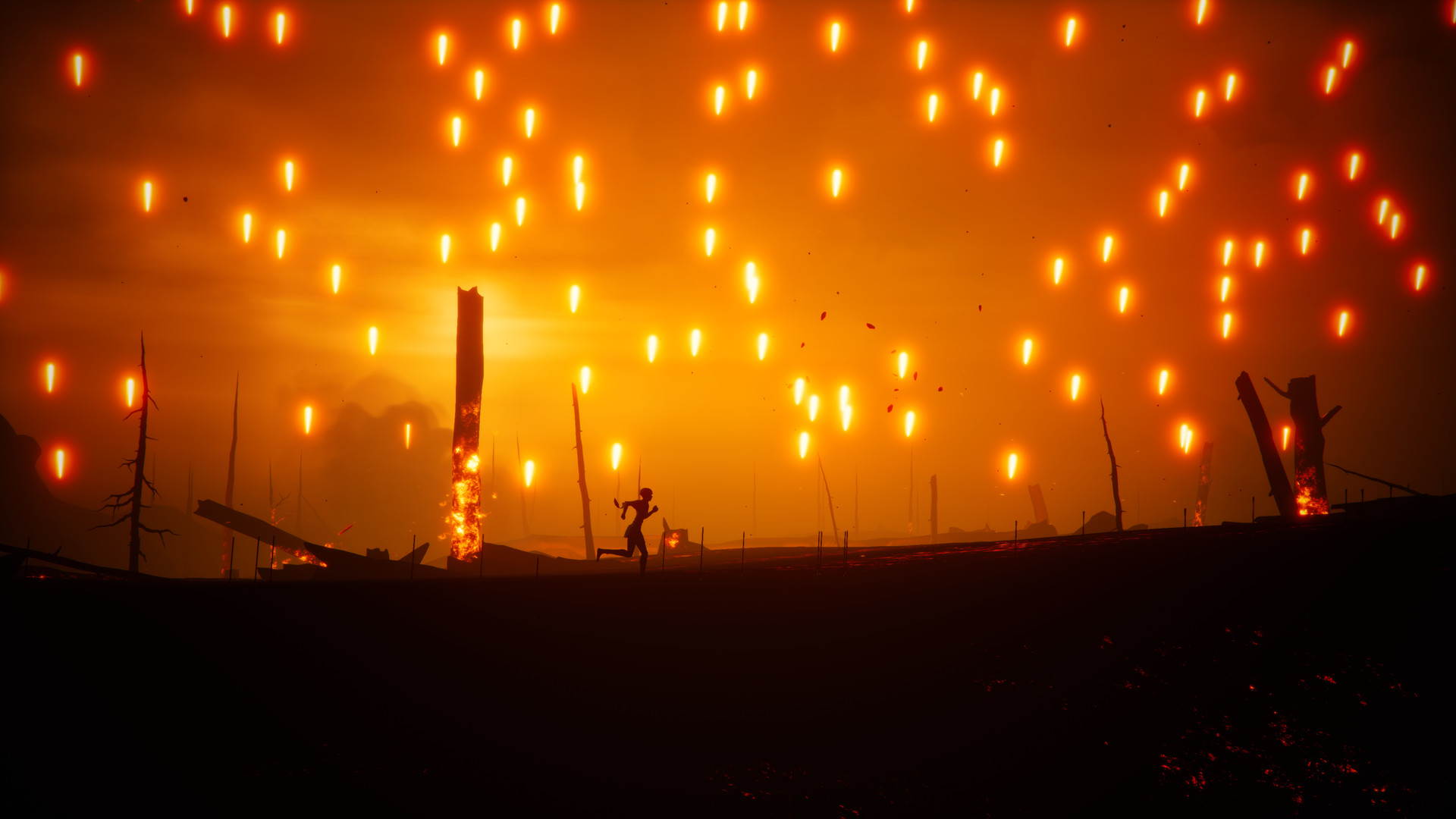 斯黛拉/Stela-幼小初高学社