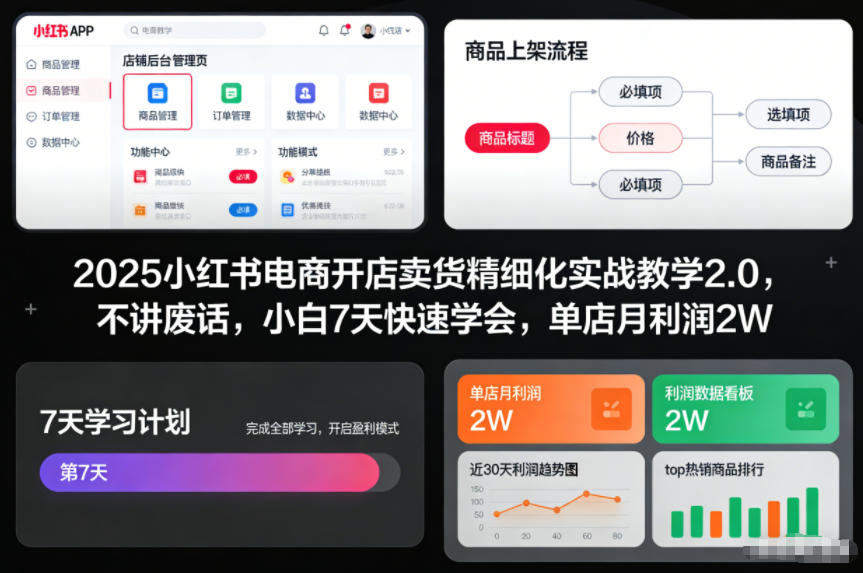 2025小红书电商开店卖货精细化实战教学2.0，不讲废话，小白7天快速学会，单店月利润2W-幼小初高学社