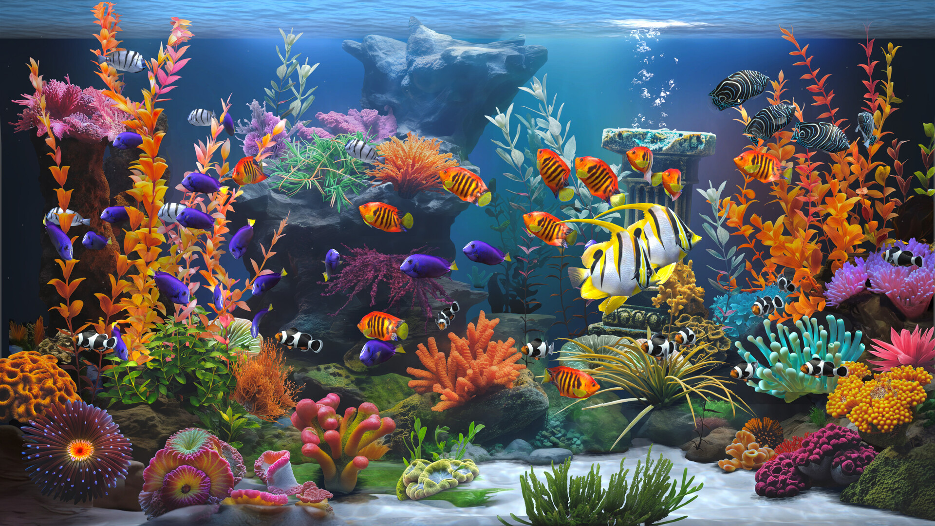 禅意水族馆/Zen Aquarium-幼小初高学社