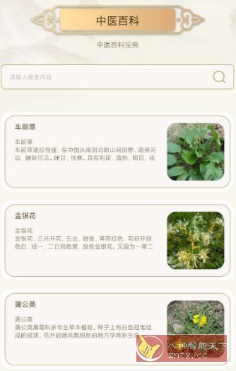 中医经络穴位典籍v1.3纯净版-幼小初高学社