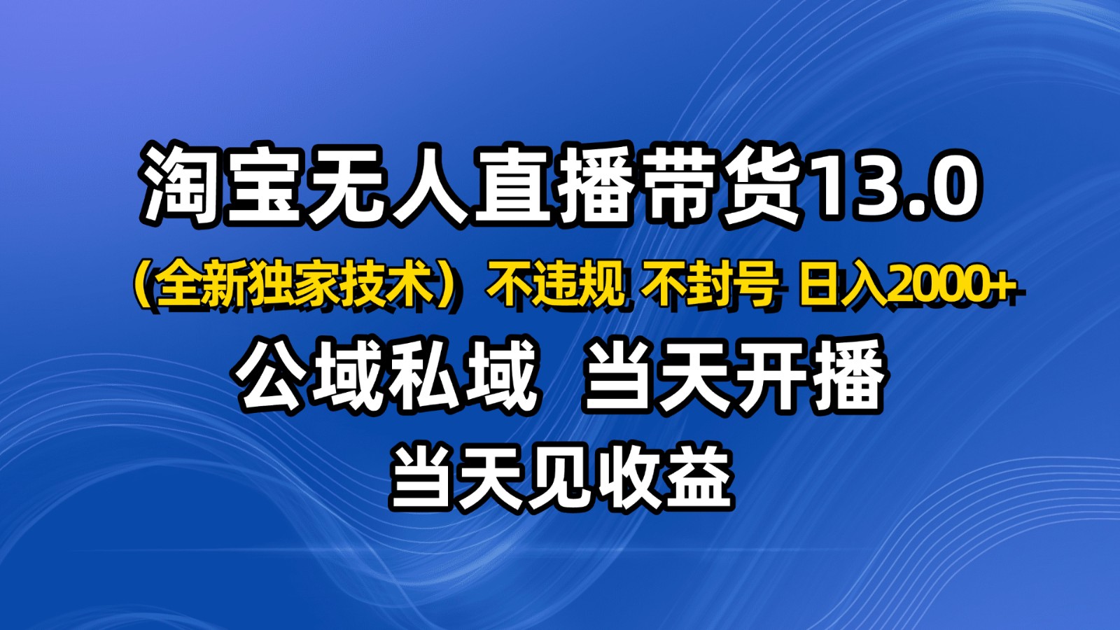 淘宝无人直播13.0，公域私域技术，不封号，不违规 布局下半年旺季赛道，日入2000+-幼小初高学社