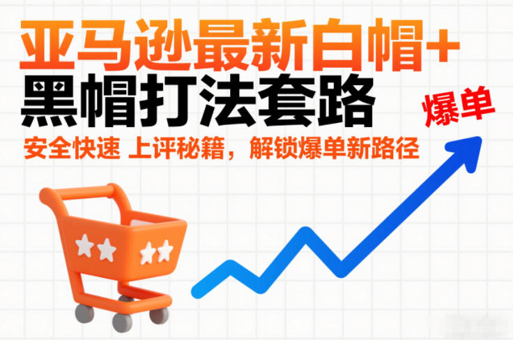 亚马逊最新白帽+黑帽打法套路，安全快速上评秘籍，解锁爆单新路径-幼小初高学社