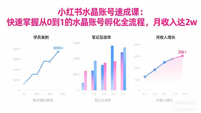 2025小红书水晶账号速成课：快速掌握从0-1水晶账号孵化全流程，月收入达2w-幼小初高学社