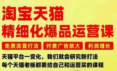 淘宝天猫精细化爆品运营课，免费流量打法-付费广告放大-利润增长-三大核心痛点，一次全部解决-幼小初高学社
