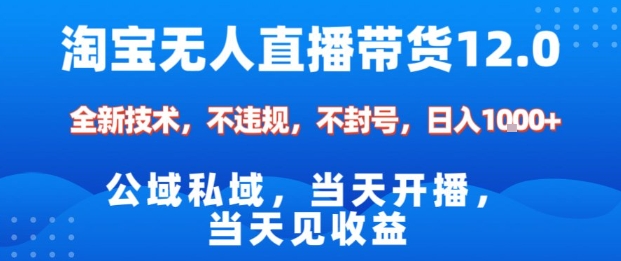 淘宝无人直播12.0，公域私域技术，不封号，不违规布局双十一流量风口，日入1k(独家技术)【揭秘】-幼小初高学社