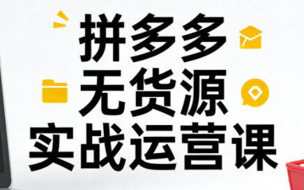 子枫老师·拼多多无货源实战运营课(更新12月)-幼小初高学社