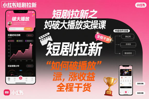 短剧拉新之小红书如何破大播放实操课，如何破播放，涨收益，全程干货-幼小初高学社