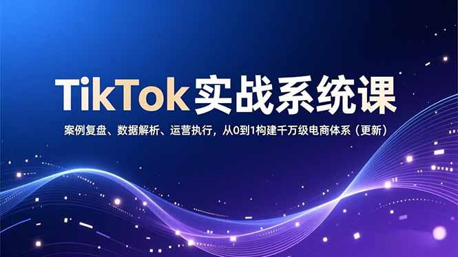 TikTok实战系统课，案例复盘、数据解析、运营执行，从0到1构建千万级电商体系(更新-幼小初高学社
