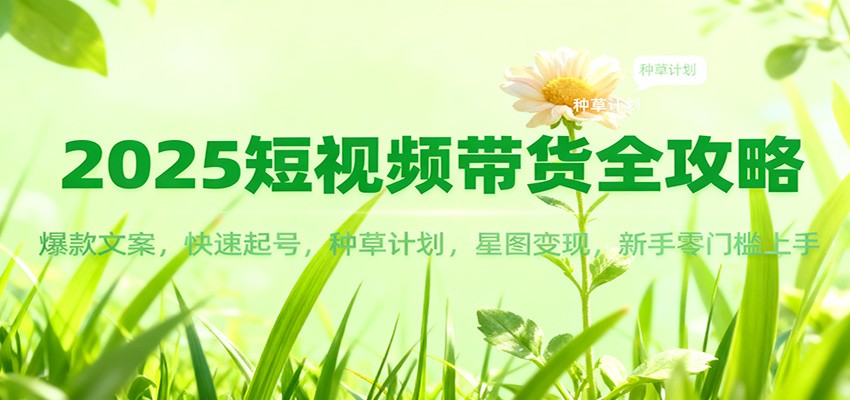 2025短视频带货全攻略：爆款文案，快速起号，种草计划，星图变现，新手零门槛上手-幼小初高学社