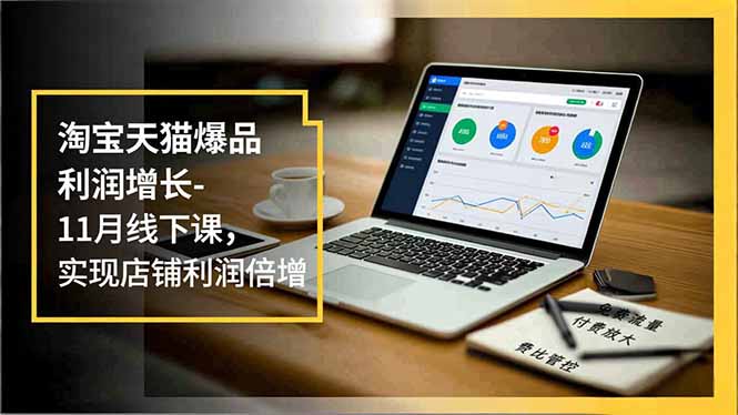淘宝天猫爆品利润增长-11月线下课，免费流量、付费放大、费比管控，实现店铺利润倍增-幼小初高学社