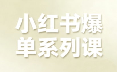 小红书爆单系列课，聚焦小红书电商全链路增长(更新)-幼小初高学社